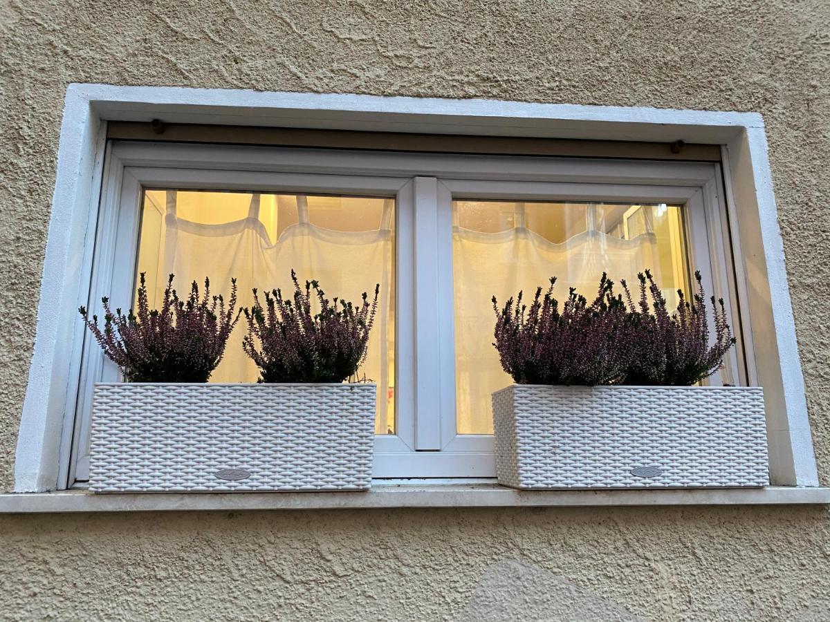 Samy S Home 1 Free Parking Wi-Fi Bolzano Exterior foto